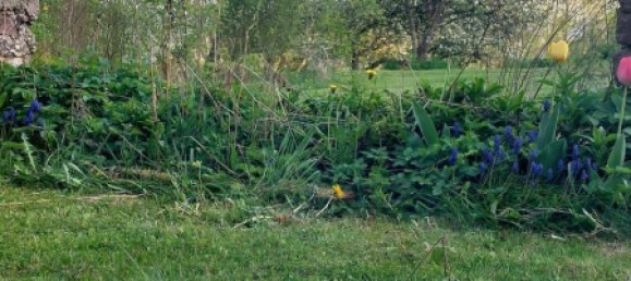 6 rooms House in Pabneukirchen, Austria No. 175136 13