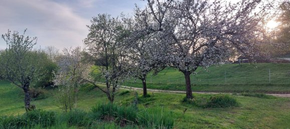 6 rooms House in Pabneukirchen, Austria No. 175136 12