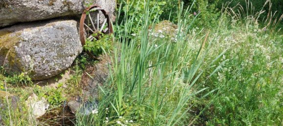 6 rooms House in Pabneukirchen, Austria No. 175136 9