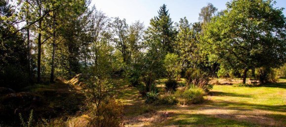 6 rooms House in Pabneukirchen, Austria No. 175136 35