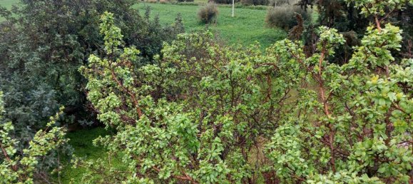 4 Schlafzimmer Villa in Modica, Italy, Nr. 19421 37