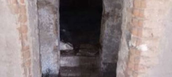 4-Zimmer Wohnung in Tromello, Italy, Nr. 311910 18