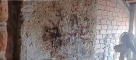 4-Zimmer Wohnung in Tromello, Italy, Nr. 311910 16