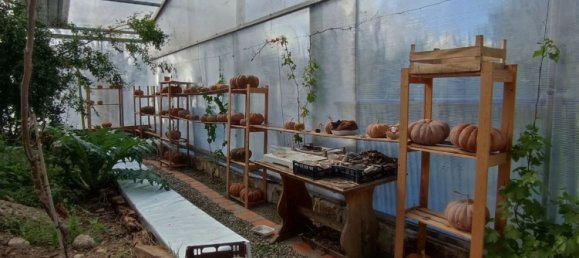 Дом с 7 комнатами в Лечче, Италия № 268666 20