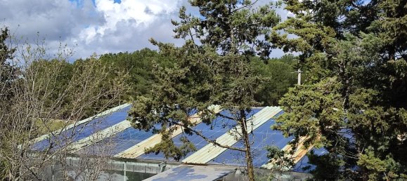 Дом с 7 комнатами в Лечче, Италия № 268666 21