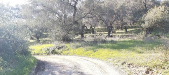 Земельный участок 44872м² в Керкира, Центральная Керкира и Диапонтии-Ниси, Керкира, Ионические острова, Пелопоннес, Западная Греция и Ионические острова, Греция № 95521 16