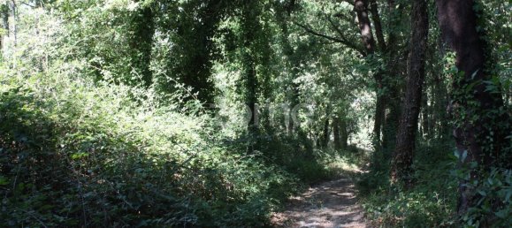 5800m² Land in Vila Nova de Famalicao, Portugal No. 34355 10