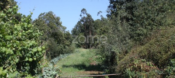 5800m² Land in Vila Nova de Famalicao, Portugal No. 34355 4