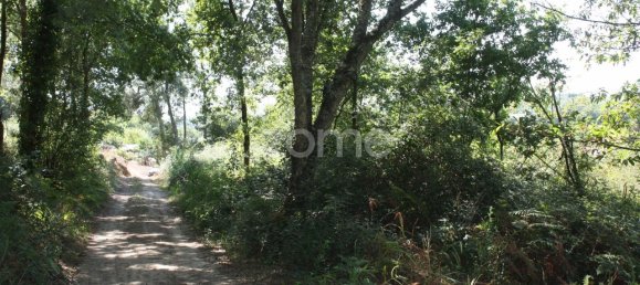 5800m² Land in Vila Nova de Famalicao, Portugal No. 34355 11