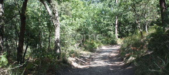 5800m² Land in Vila Nova de Famalicao, Portugal No. 34355 12