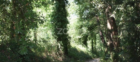 5800m² Land in Vila Nova de Famalicao, Portugal No. 34355 8