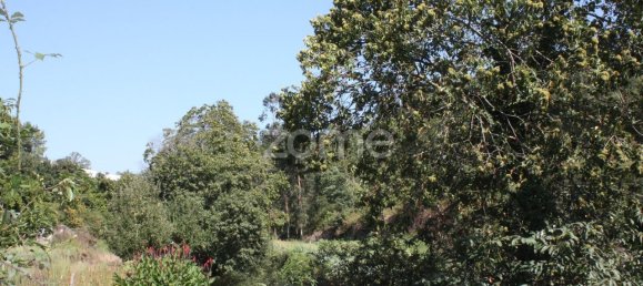 5800m² Land in Vila Nova de Famalicao, Portugal No. 34355 6
