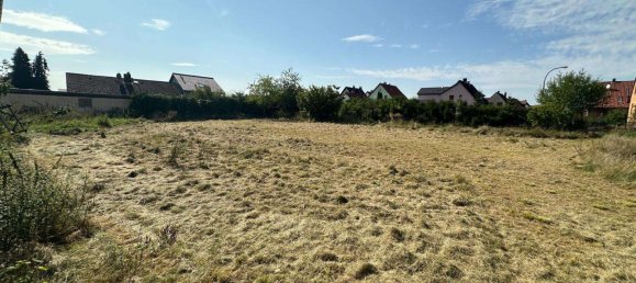 10 rooms Farm in Helmstedt, Germany No. 103146 8