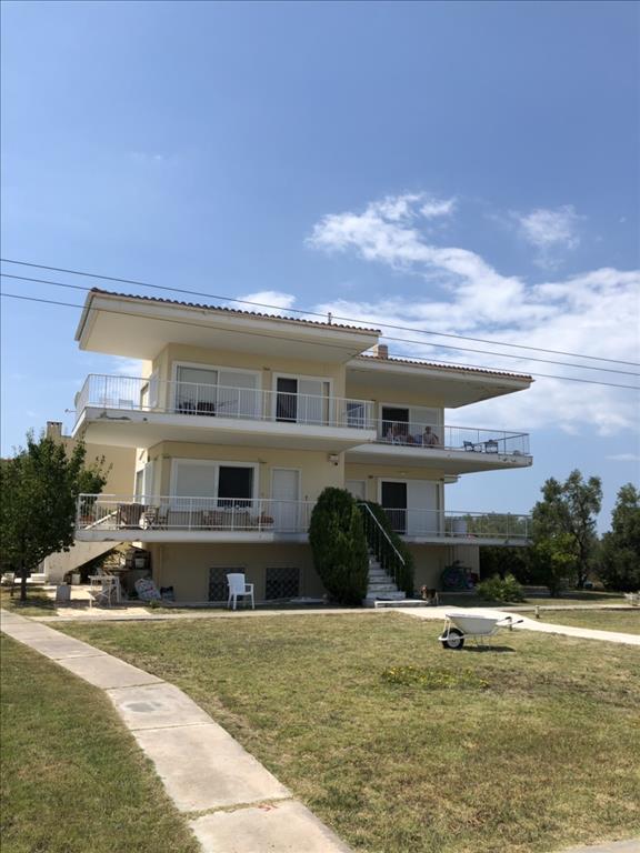 Maison de ville à Chalkidiki, Greece 360m² No. 4649