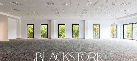 15 rooms Building in Colmar, France No. 41057 17