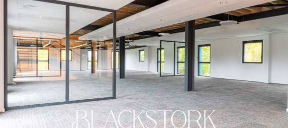 15 rooms Building in Colmar, France No. 41057 10