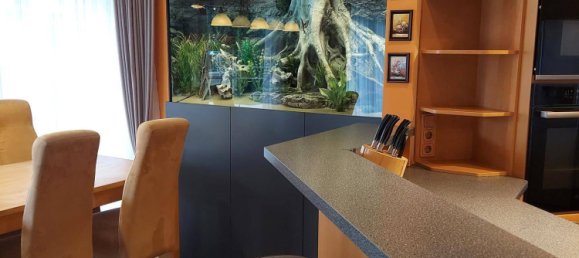 7 rooms Villa in Drabsburg, Austria No. 236526 25