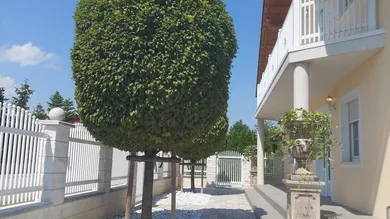 7 rooms Villa in Drabsburg, Austria No. 236526