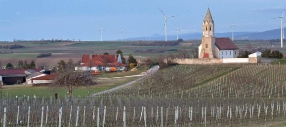 3-Zimmer Haus in Höflein, Austria, Nr. 133316 14