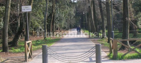 2 غرف نوم شقة في Viareggio, Italy رقم 42937 7