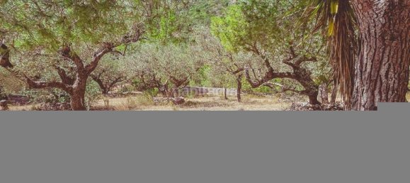 Casa de 3 dormitorios en Roquetes, Spain No. 168151 8