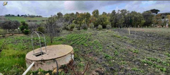 2 rooms Apartment in Naro, Italy No. 224218 29