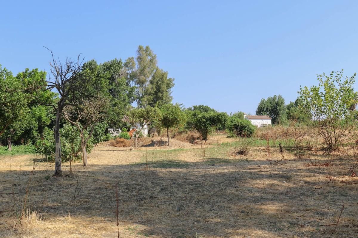 3000m² Land in Coin, Spain No. 234576