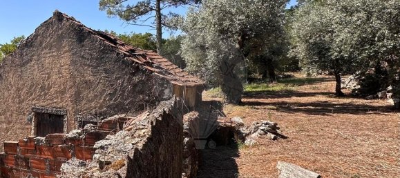 2 bedrooms House in Ansiao, Portugal No. 36536 5