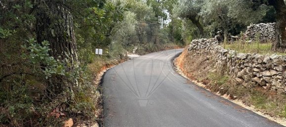 2 bedrooms House in Ansiao, Portugal No. 36536 16