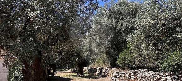 2 bedrooms House in Ansiao, Portugal No. 36536 6