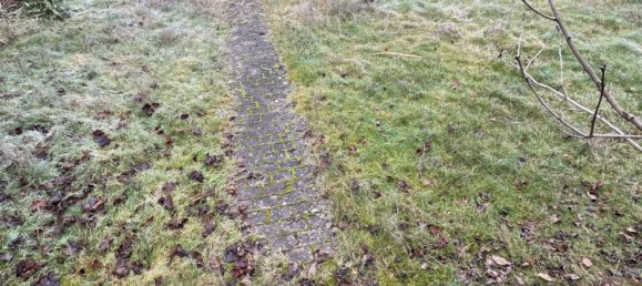 Terrain à Aschaffenburg, Germany No. 45923 5