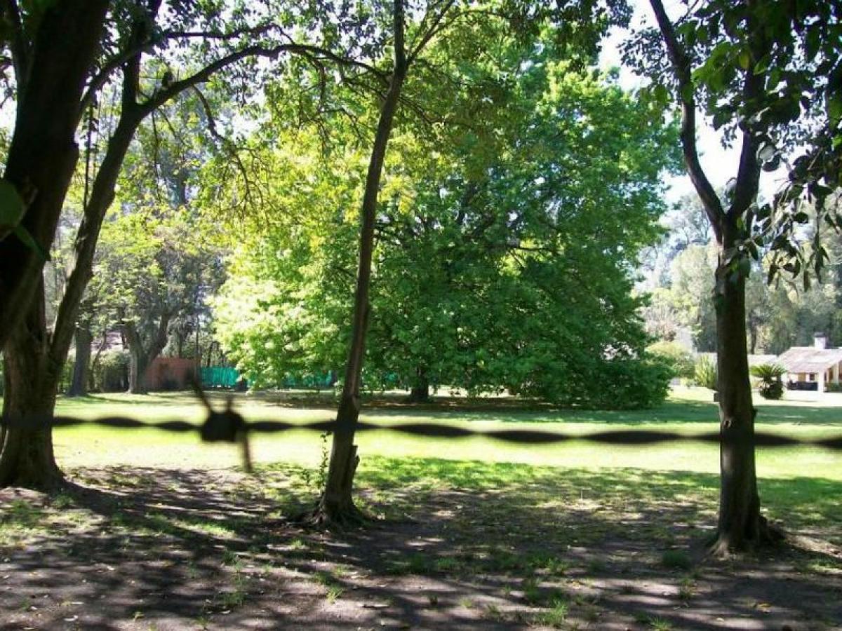  Land in Tigre, Argentina No. 37415