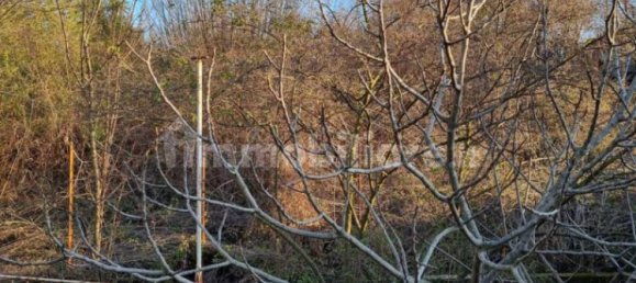 Дом с 3 спальнями в Банкетте, Италия № 189378 8