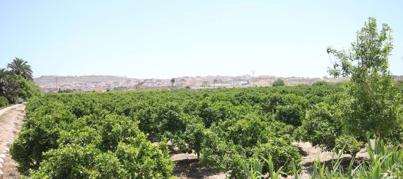 3 bedrooms Apartment in Benijofar, Spain No. 11327 17