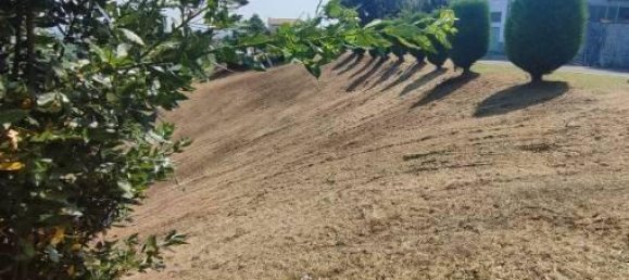 7غرفة منزل في Pavia, Italy رقم 32832 5