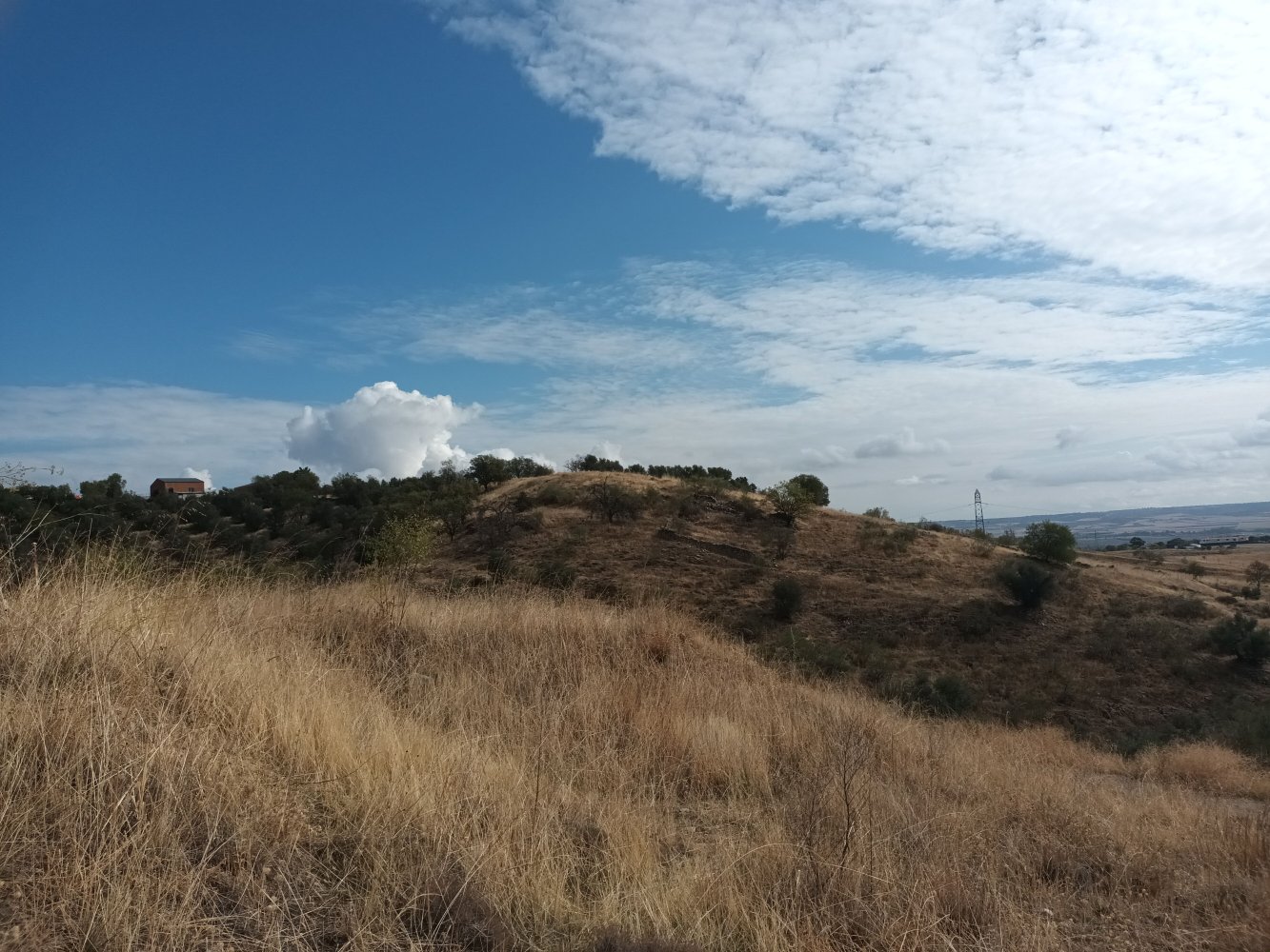 Grundstück in El Molar, Spain 13891m², Nr. 81888