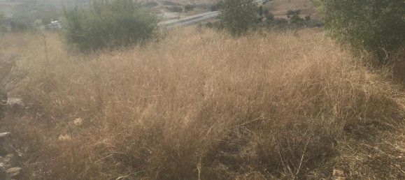 Grundstück in El Molar, Spain 13891m², Nr. 81888 8