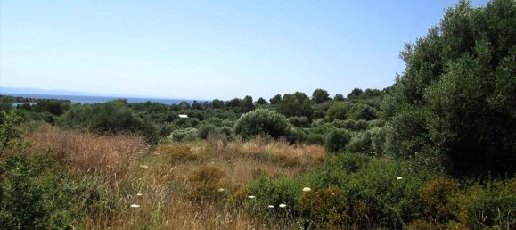 Hotel em Chalkidiki, Greece 7125 m² N.º 7135 5