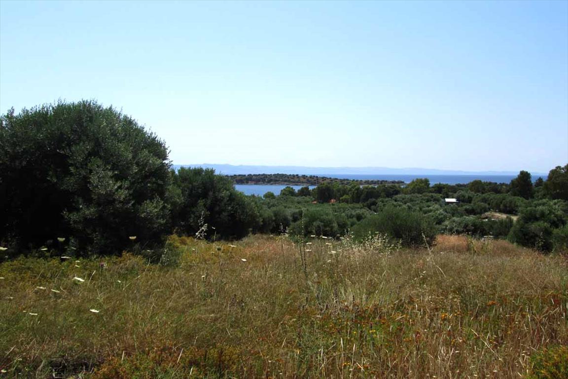 Hotel em Chalkidiki, Greece 7125 m² N.º 7135
