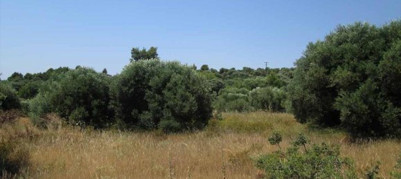  فندق في Chalkidiki, Greece 7125متر مربع رقم 7135 3