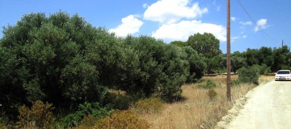  فندق في Chalkidiki, Greece 7125متر مربع رقم 7135 6