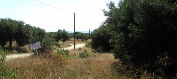 Hotel em Chalkidiki, Greece 7125 m² N.º 7135 8