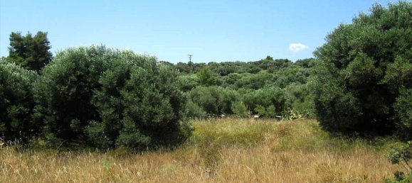  فندق في Chalkidiki, Greece 7125متر مربع رقم 7135 7