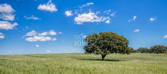 4 Schlafzimmer Schlösser in Evora, Portugal, Nr. 355008 17