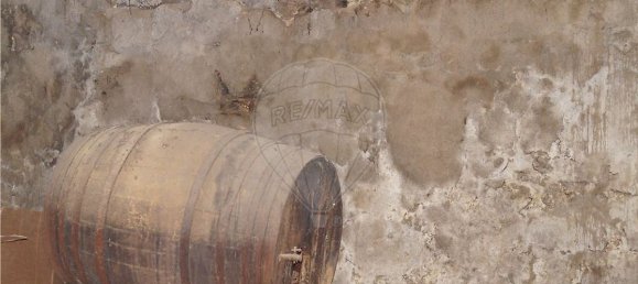 2 Schlafzimmer Haus in Viseu, Portugal, Nr. 24737 4