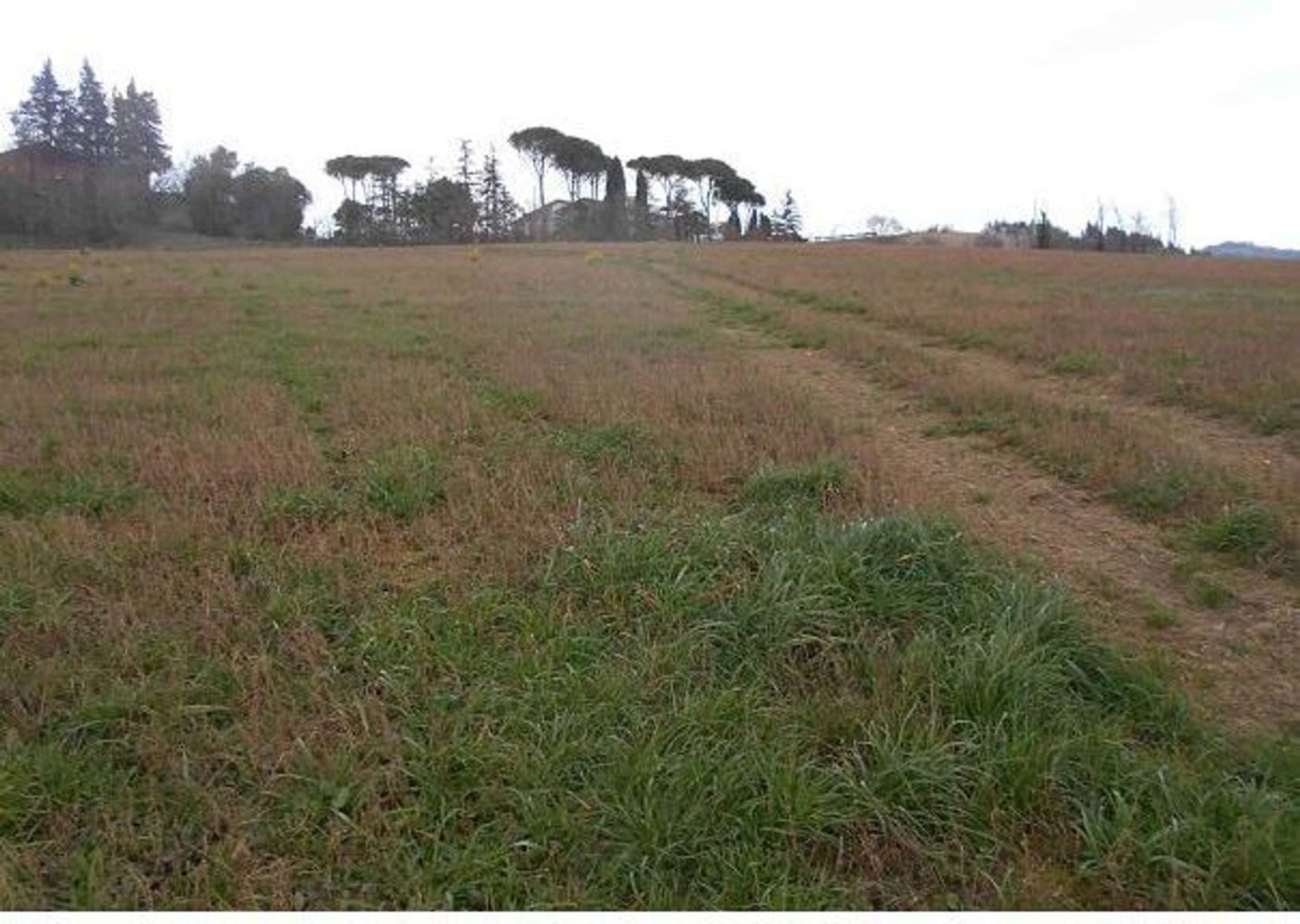 Земельный участок 7665м² в Монтекальво ин Фоля, Италия № 362628