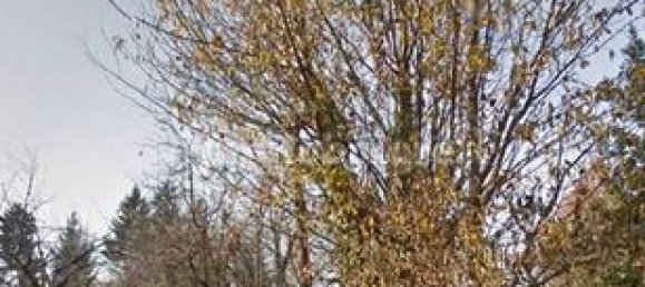 Земельный участок 3610м² в Монгуццо, Италия № 292239 3