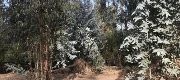 Grundstück in Valparaiso, Chile, Nr. 659 2