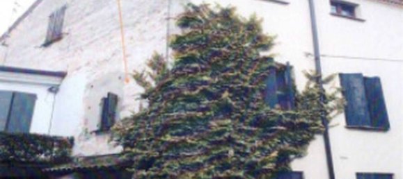 5 bedrooms Villa in Gaiba, Italy No. 322228 25