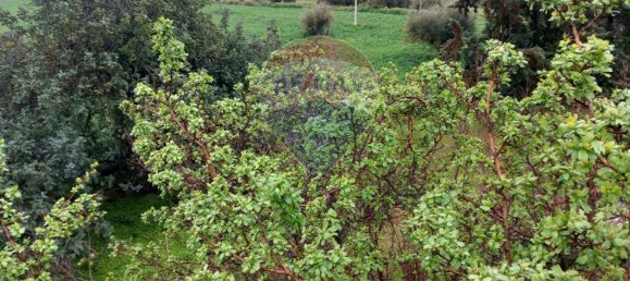 9غرفة فيلا في Modica, Italy رقم 19422 9